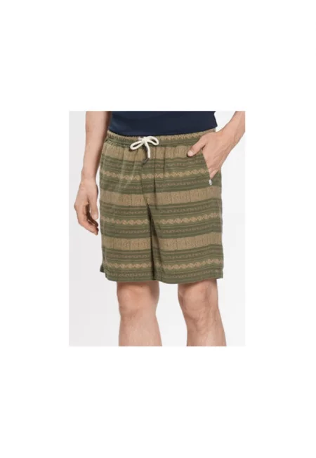 Мъжки шорти -  301883982 - Памук - Зелен