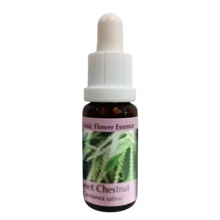 При отчаяние и безизходица - Есенция Сладък кестен, капки 15 ml