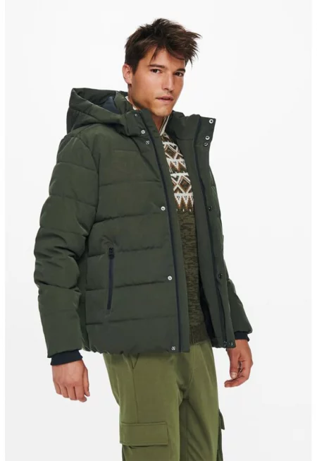 Зимно яке с капитониран ефект