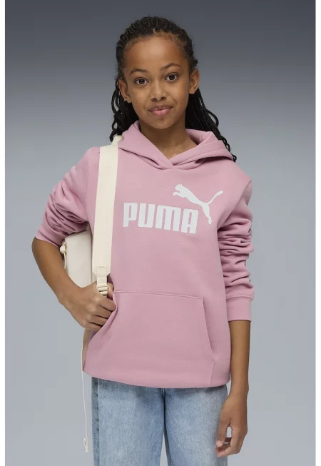 Худи ESS с джоб кенгуру