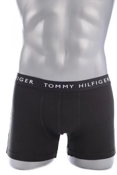 Дрехи Боксери/Слипове TOMMY HILFIGER