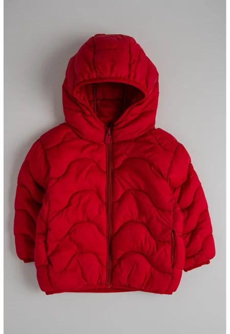 Капитонирано зимно яке с качулка