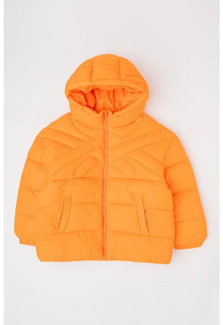 Капитонирано зимно яке