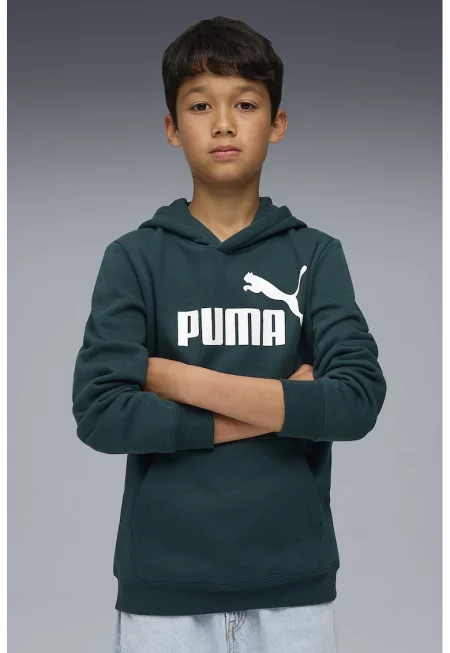 Худи ESS с джоб кенгуру