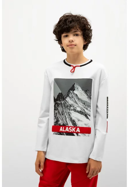 Блуза с графика Alaska