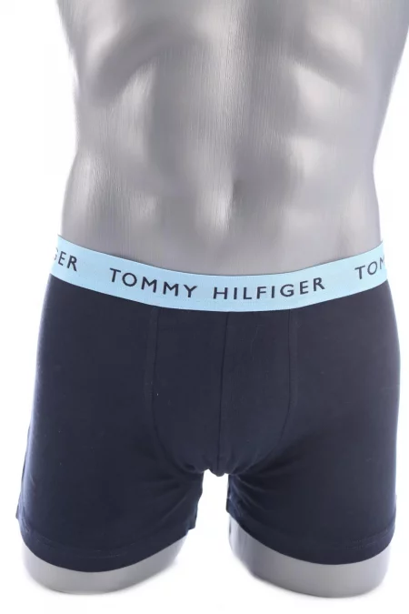 Дрехи Боксери/Слипове TOMMY HILFIGER