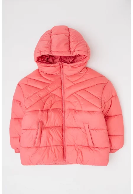 Капитонирано зимно яке