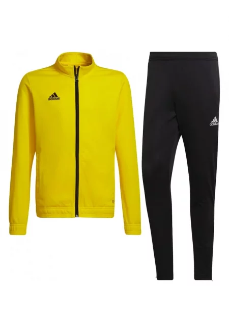 Trening  Entrada 22 Track pentru barbati - Жълт