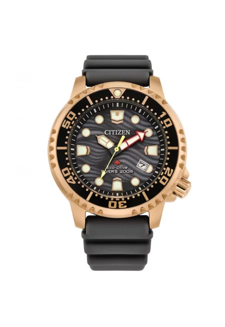 Мъжки часовник  Promaster Dive BN0163-00H - Аналогов