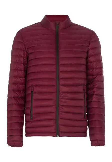 Капитонирано зимно яке