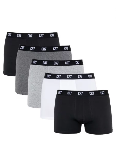 Мъжки боксерки  5 чифта - (8106-49-2400 - Многоцветен