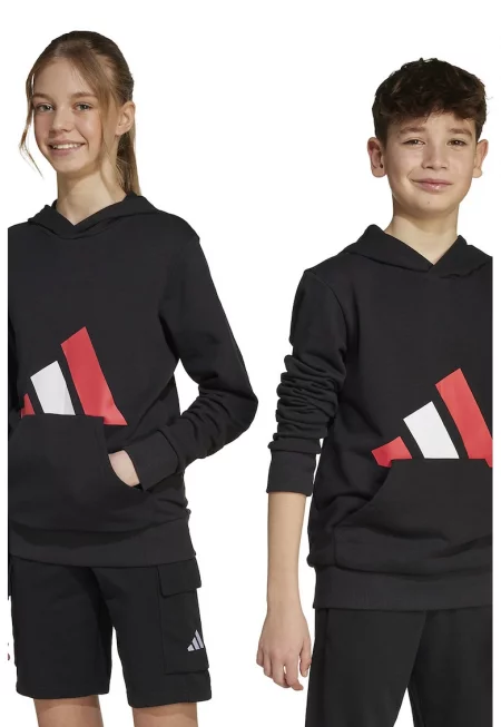 Худи с лого