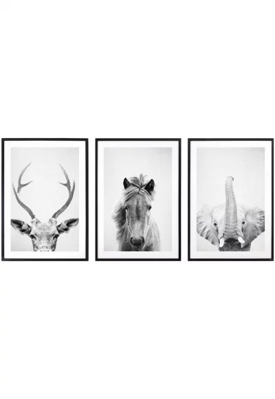 Комплект от 3 декоративни картини  Animals BW