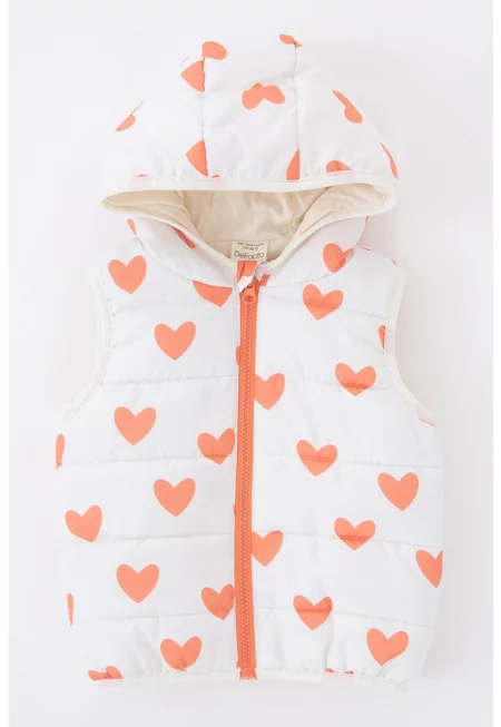 Ватиран елек с качулка и шарка