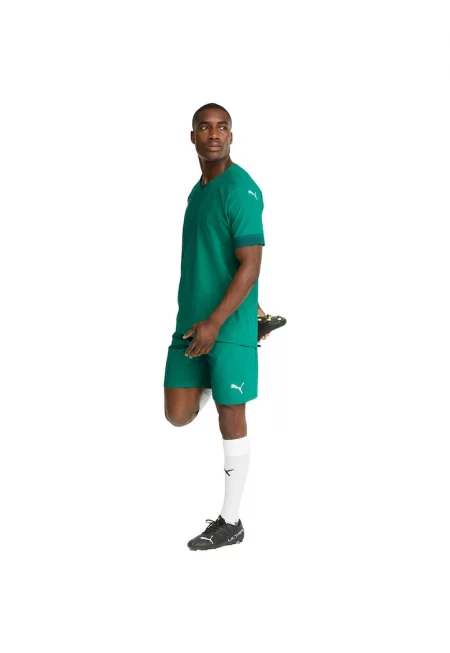 Мъжки къси панталони  Teamfinal Shorts