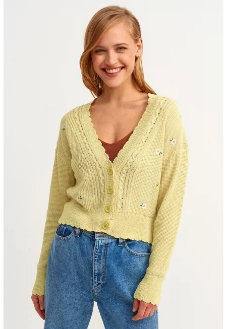 Шпиц жилетка