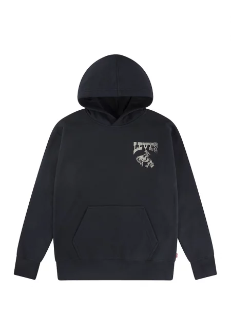 Худи с лого