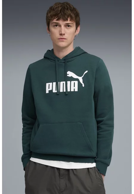 Худи Essentials с лого