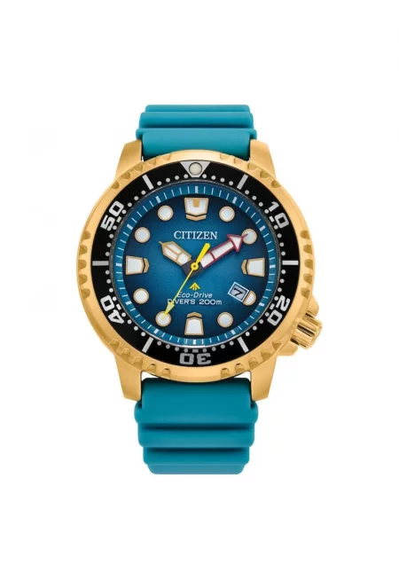 Мъжки часовник  Promaster Dive BN0162-02X - Аналогов