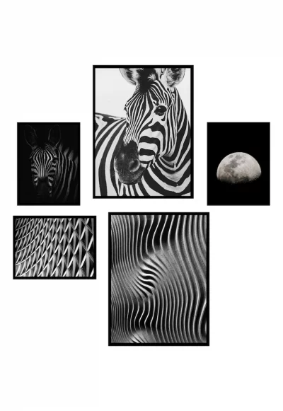 Комплект от 5 декоративни картини  Zebra BW