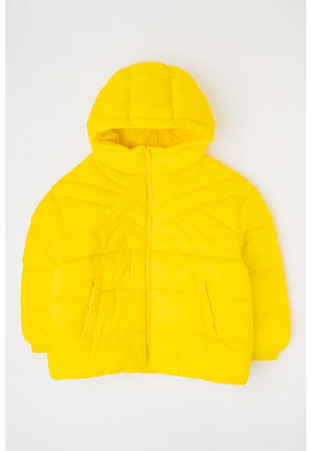 Капитонирано зимно яке