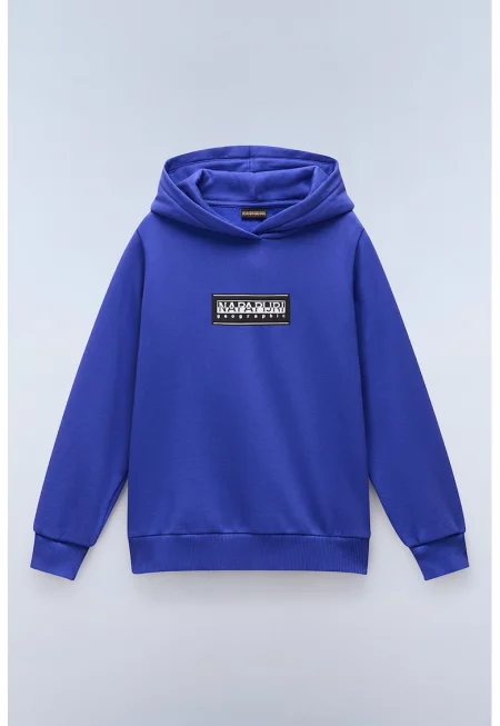 Худи Chamois с пришито лого