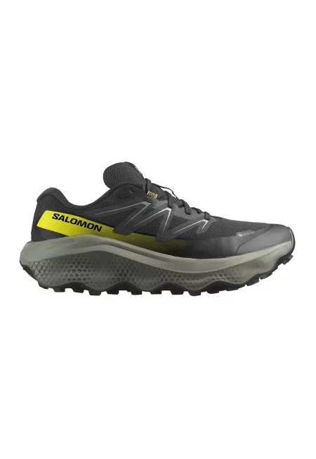 Обувки за бягане ULTRA FLOW 2 GTX