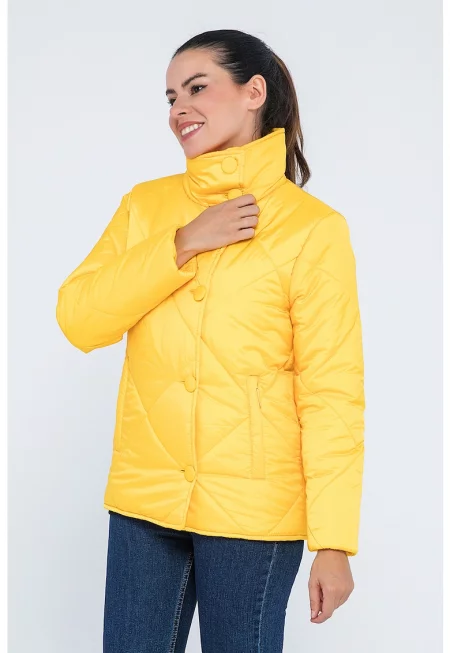 Капитонирано зимно яке