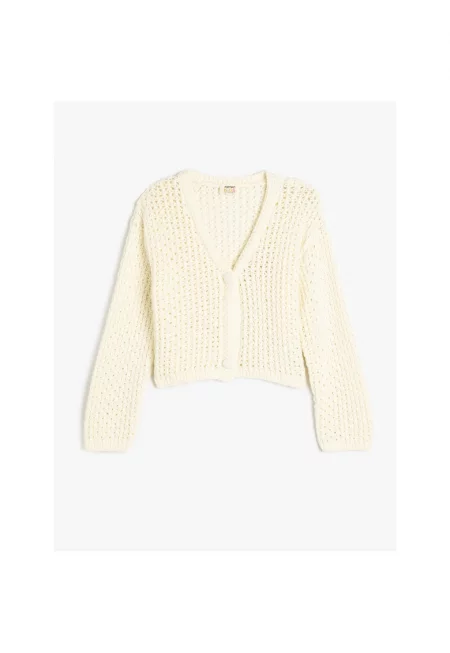 Шпиц жилетка с копчета