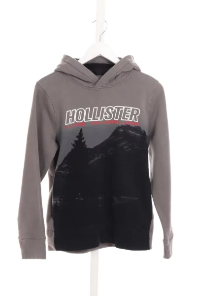 Дрехи Суитшърт HOLLISTER