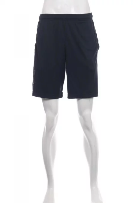 Дрехи Спортни къси панталони UNDER ARMOUR