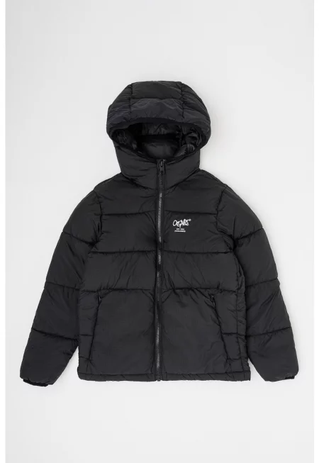 Зимно яке Stead с качулка