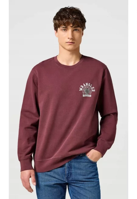 Мъжки суичър -  Crewneck Sweatshirt - сливов - 100% памук -