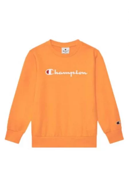 Мъжки суитшърт  307030 OS059 PPO - оранжев - 73% памук