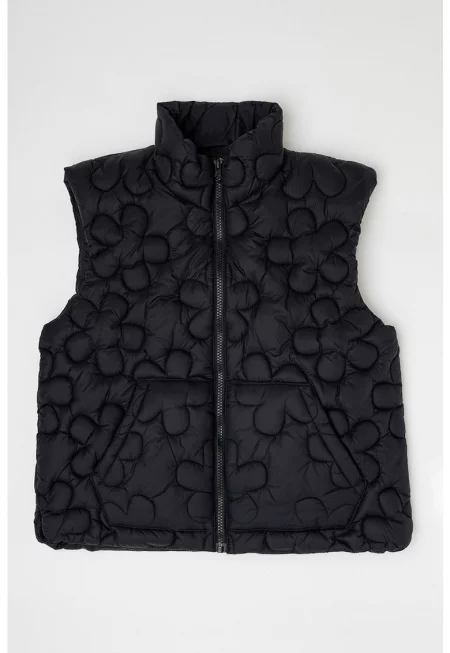 Капитониран елек