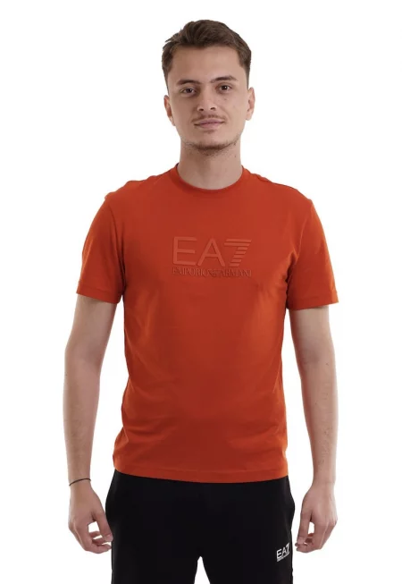 Мъжка тениска Emporio Armani  7M000224AF10375U3012