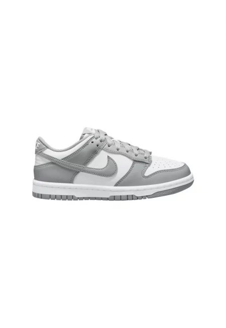 Маратонки  DUNK LOW (GS)-FB9109-123