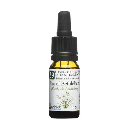 Цветна есенция Бах № 29 – Витлеемска звезда (Star of Bethlehem), капки, 10 ml