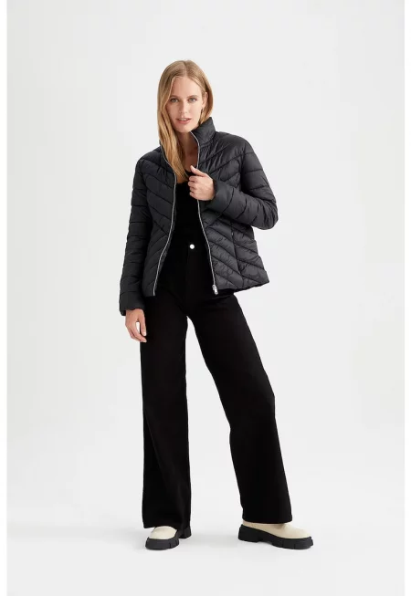 Капитонирано зимно яке с цип