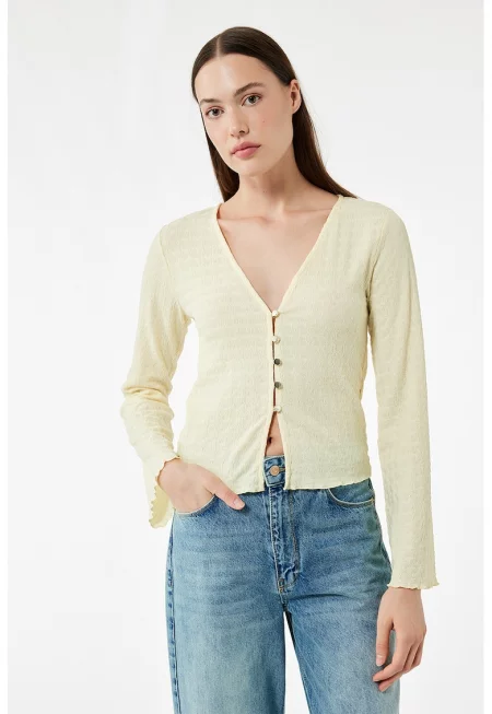 Шпиц жилетка