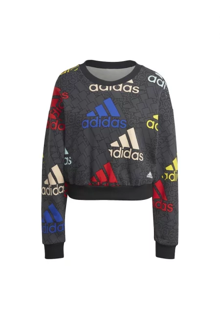 Блуза  W BLUV Q3 SWT G HL4412