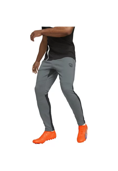 Мъжки тренировъчни панталони  King Ultimate - Сив