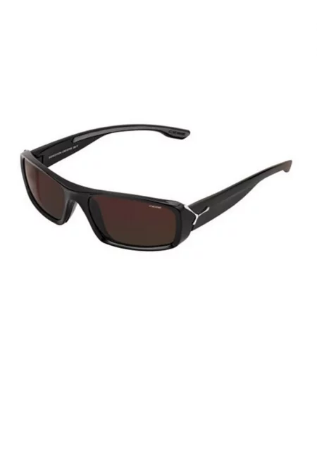Слънчеви очила  Expedition - Shiny Black 2000 Brown Ar