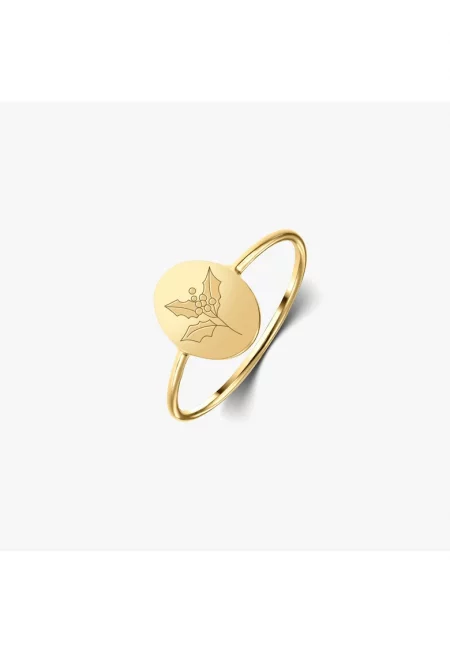 Сребърен пръстен Birth Flower Golden - декемврийски имел