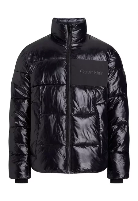 Капитонирано зимно яке с лъскав ефект