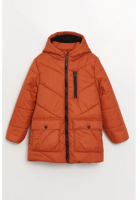 Капитонирано зимно яке с качулка и вата