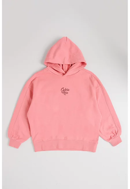 Худи с лого на гърдите