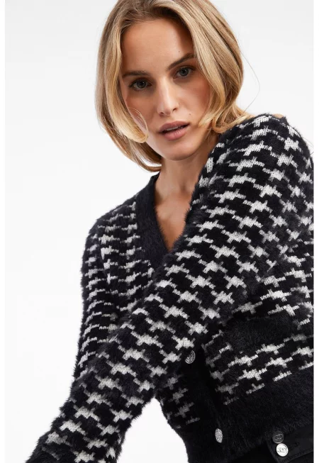 Шпиц жилетка с копчета и копчета