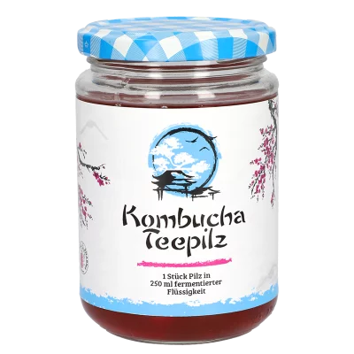 Подсилва имунитета - Комбуча Чаена гъба с ферментирал плодов чай, 200 ml