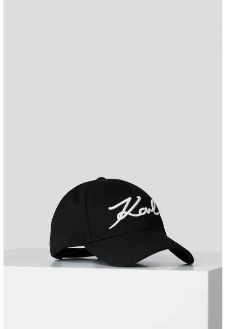 Шапка Signature с лого